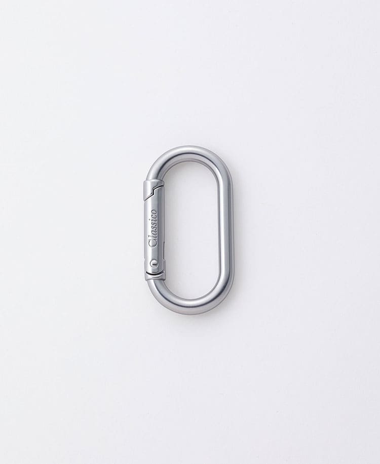 Accessories:Carabiner