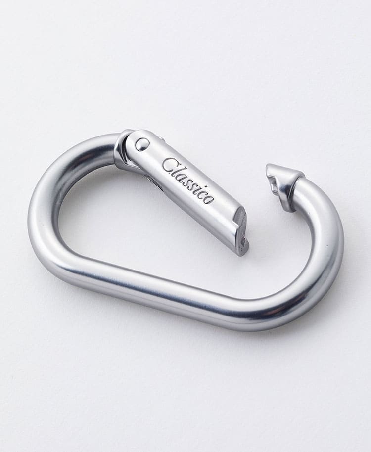 Accessories:Carabiner