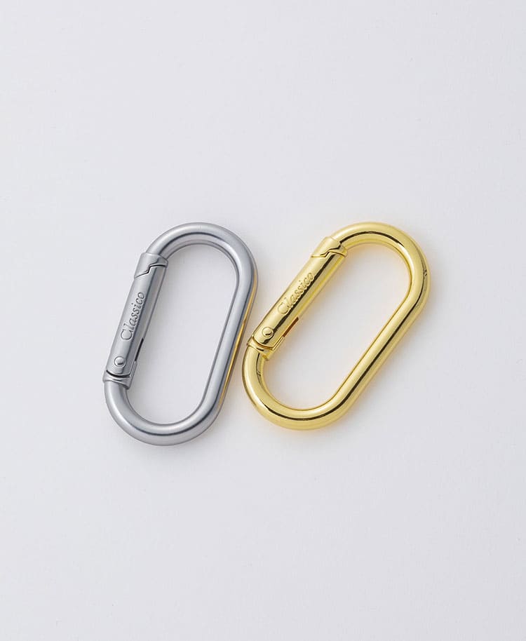 Accessories:Carabiner
