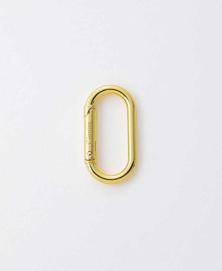 Accessories:Carabiner