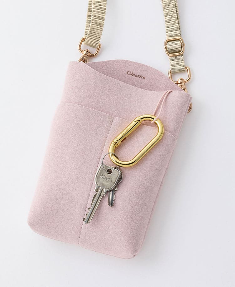 Accessories:Carabiner