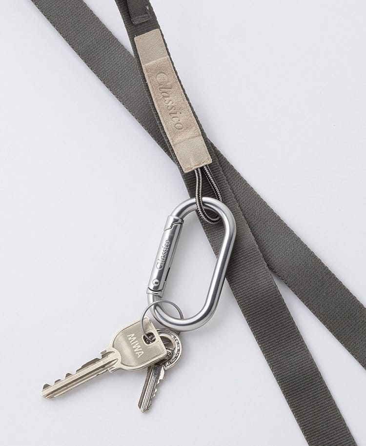 Accessories:Carabiner